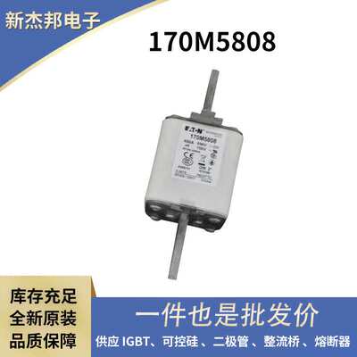 170M6510 170M6511 170M6512原盒快速熔断器 保险丝