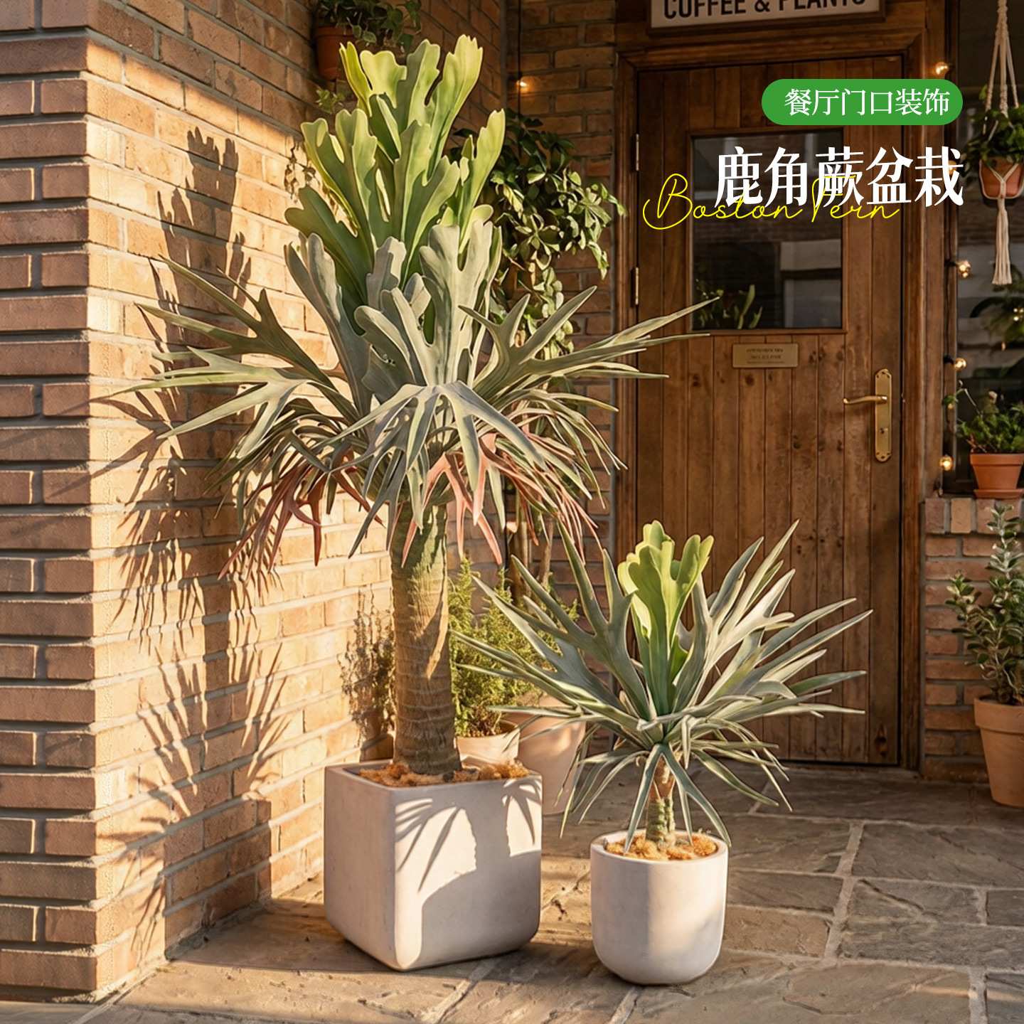 工厂 仿真鹿角蕨盆栽大型人造假树室内摆件热带仿真绿植盆景