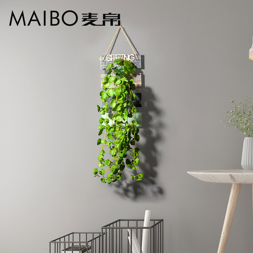 卧室墙面a客厅餐厅壁挂植物布置房间装饰水培花瓶创意挂件背景墙
