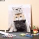 数字油画diy手工填充三u只可爱小猫咪宠物手绘涂色填色画油彩画画