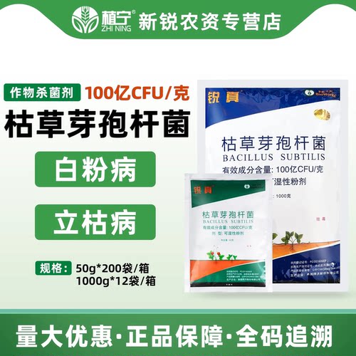 美国拜沃 锐真100亿枯草芽孢杆菌人参立枯病草莓白粉病农药杀菌剂