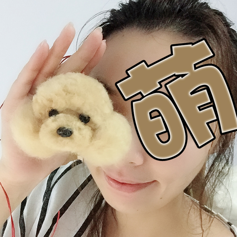 包邮羊毛毡蓬蓬球DIY材料包可爱仿真卷毛泰P迪狗车内摆件抖音挂件