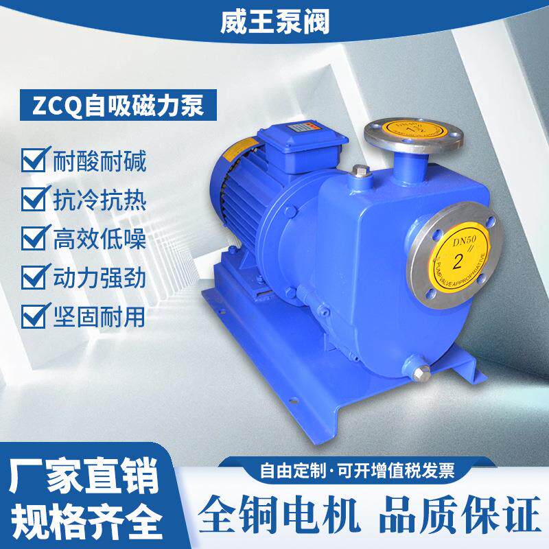 工厂直销卧式不锈钢自0吸磁力泵ZQ10080-20无泄漏-耐腐蚀CYI磁力C