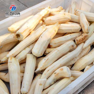 果类蔬清洗设备 连续式机清洗去皮毛辊GLY清洗 根茎皮土豆红薯去