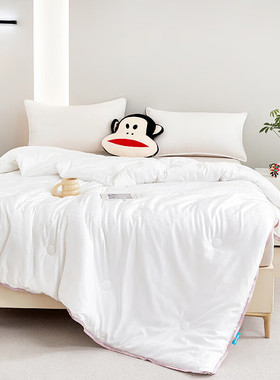 大嘴猴（Paul Frank）嘉柔蚕丝被200×240cm 2500gPFFCS241197U