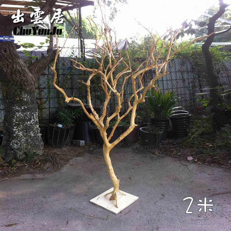 干树枝造景干枝树干许愿树枯v树室内庭院造型树枝干原木树枝装饰