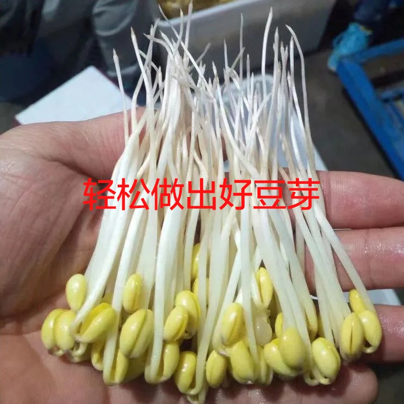 腐斑绝豆a芽无根剂无根素营养液防腐剂过检测杀菌去斑增白增粗生