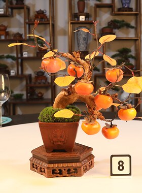 仿真柿子树餐桌多宝阁玄关造景花艺沙H发角几花架茶几茶台书桌摆