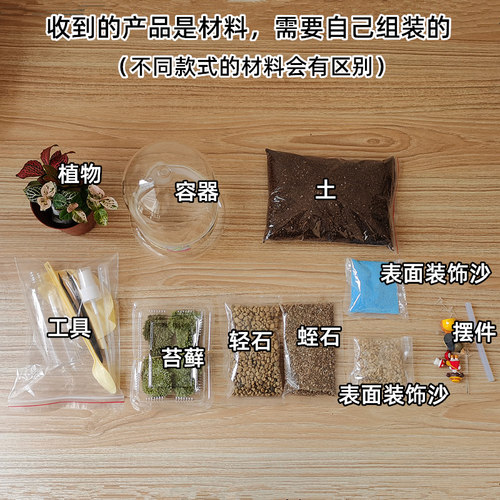 包邮小朋友手工礼物亲子活动生态瓶苔藓微景观植物造景Wdiy材料包