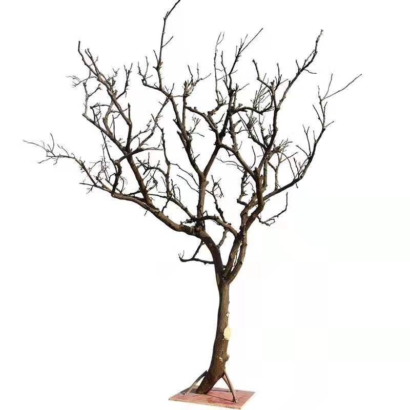 干树枝造景干枝树干许愿树枯树室内E庭院造型树枝干原木树枝装饰