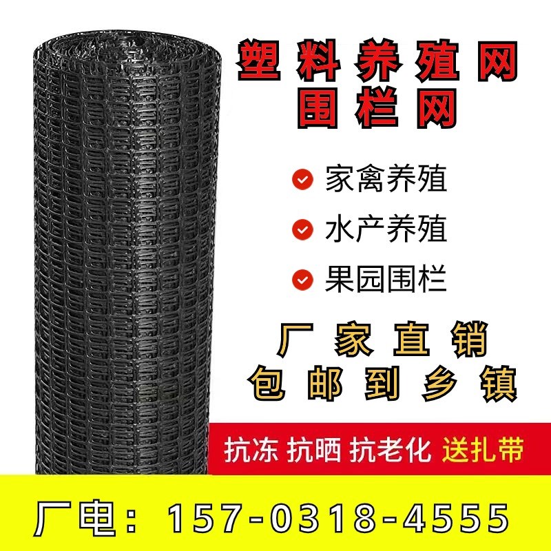 塑料网格土工格栅圈玉米网养鸡围网大棚H兜水网栅栏小孔养殖网护