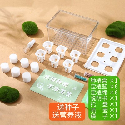 水培生菜b种植箱家庭智能无土栽培蔬菜盆栽幼儿园学生观察种菜作