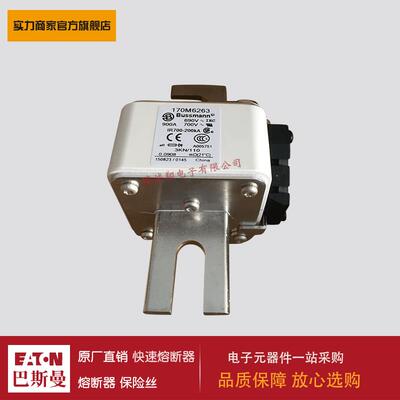 熔断器170M6262 170M6263 170M6264 170M6265 170M6266 170M6267