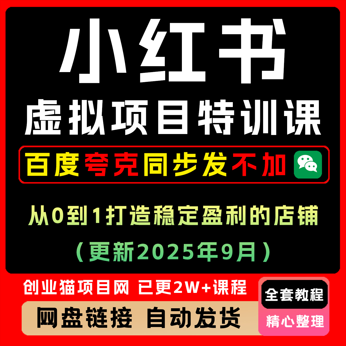 小红书虚拟项目特训课0到1全套视频精讲学习教学课