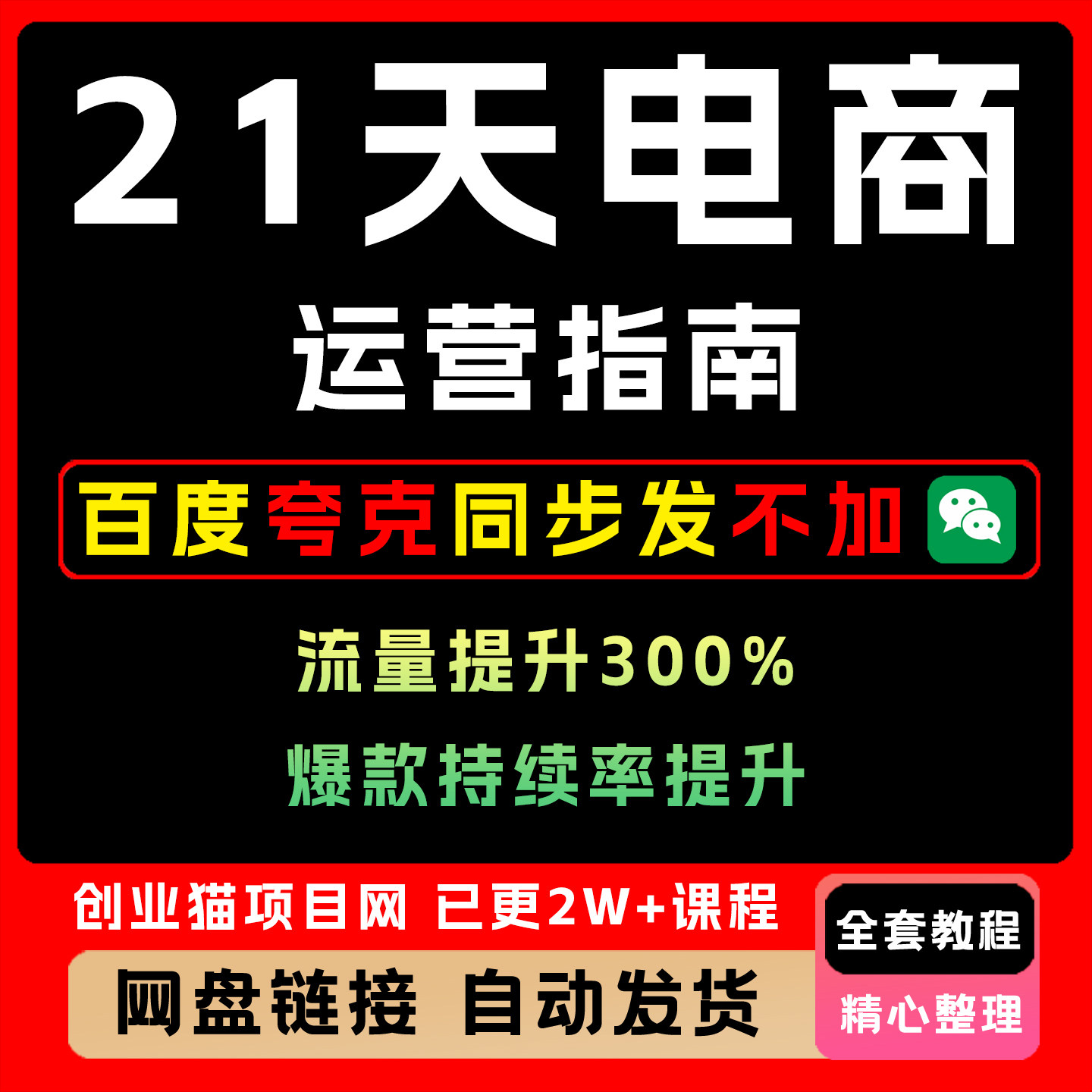 21天电商运营指南21天内店铺流量提升300%爆款持续率提升80%