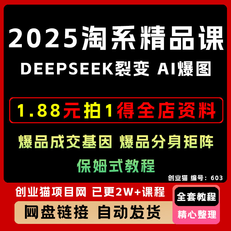 2025 淘系精品课A1破局-Deepseek爆品基因裂变A1暴图术暴力影流