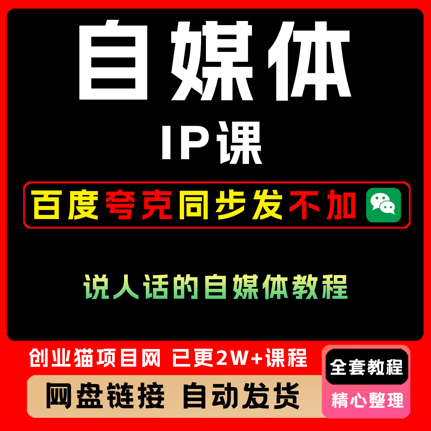 2025自媒体IP课说人话全套视频精讲学习资料教学课程项目