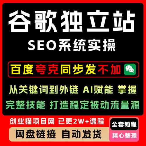 谷歌独立站SEO系统实操课关键词到外链AI赋能完整技能被动流量源