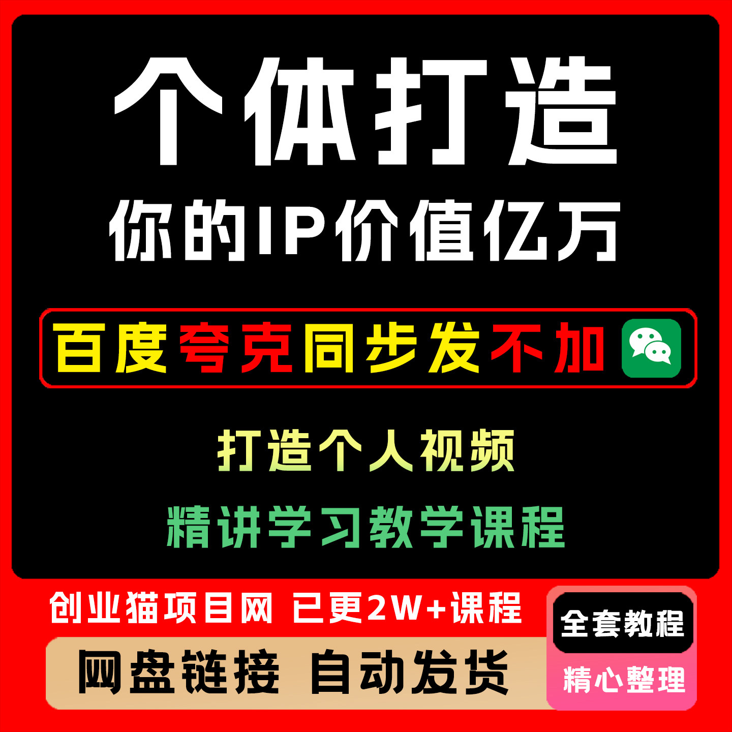 2025年你的IP价值亿万超级个体打造个人视频精讲学习教学课程