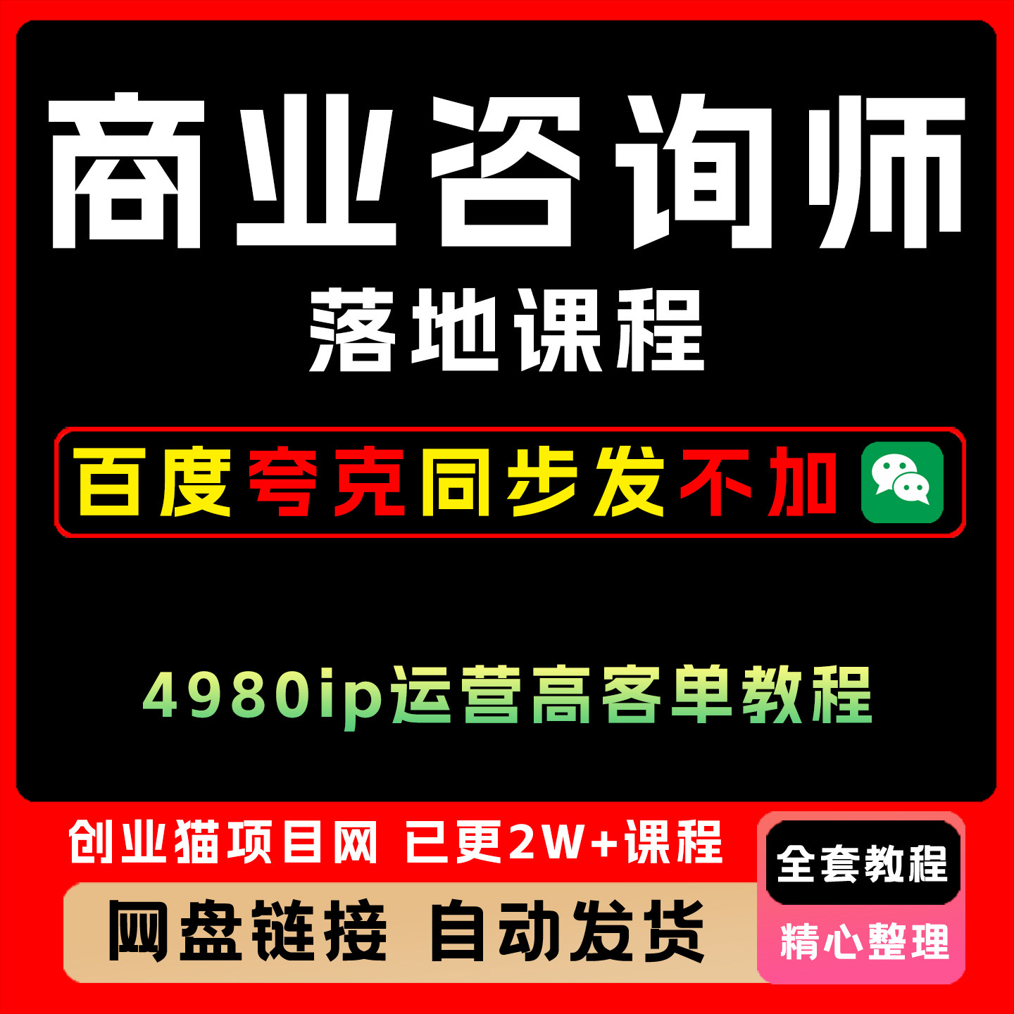 2025商业咨询师落地课程4980ip运营高客单教程教程视频课
