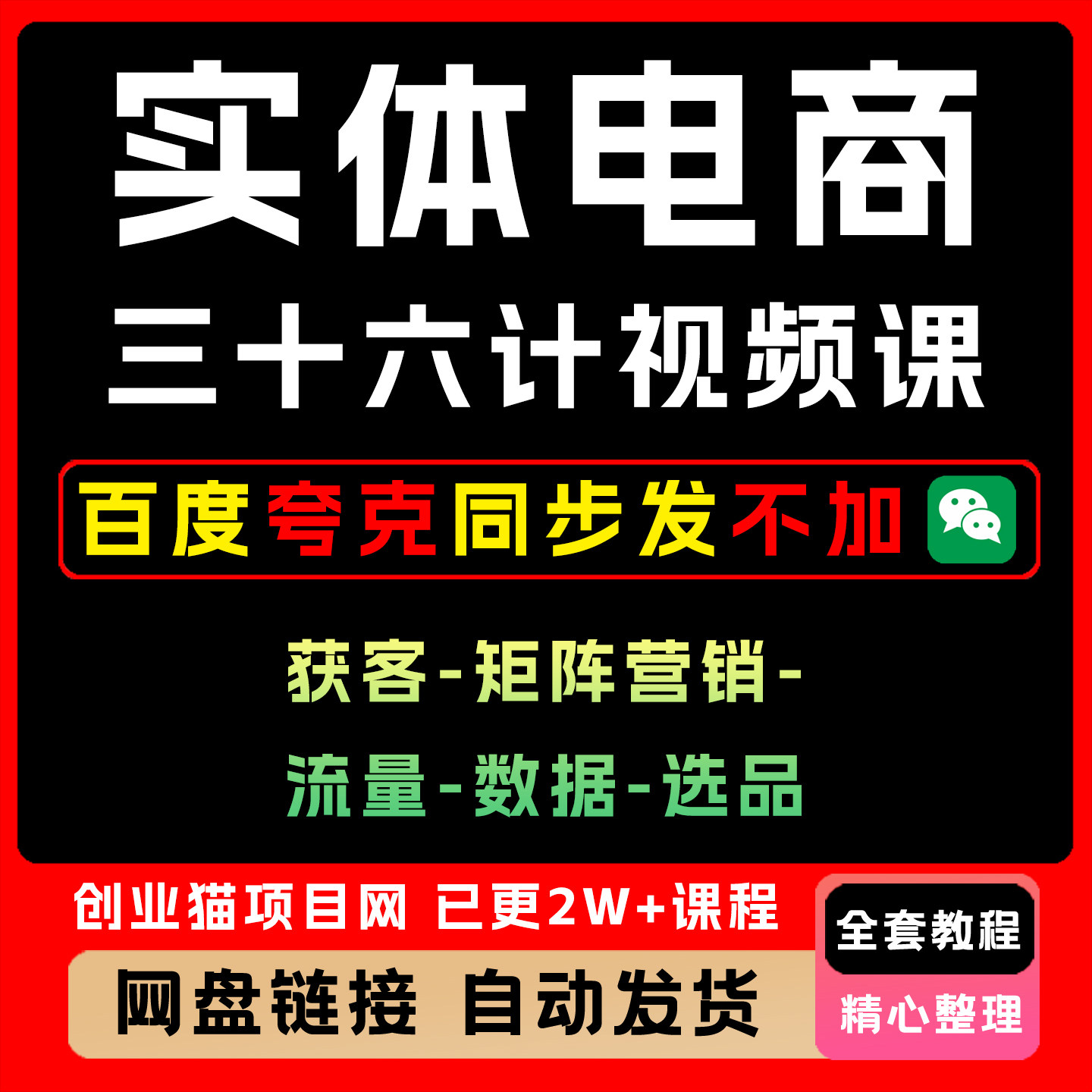 2025实体电商三十六计 短视频获客直播营销选品 王泽旭课程