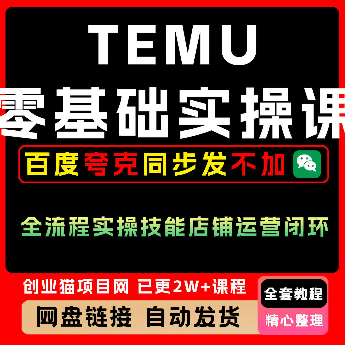 TEMU零基础实操课注册开店到选品发货全流程实操技能店铺运营闭环