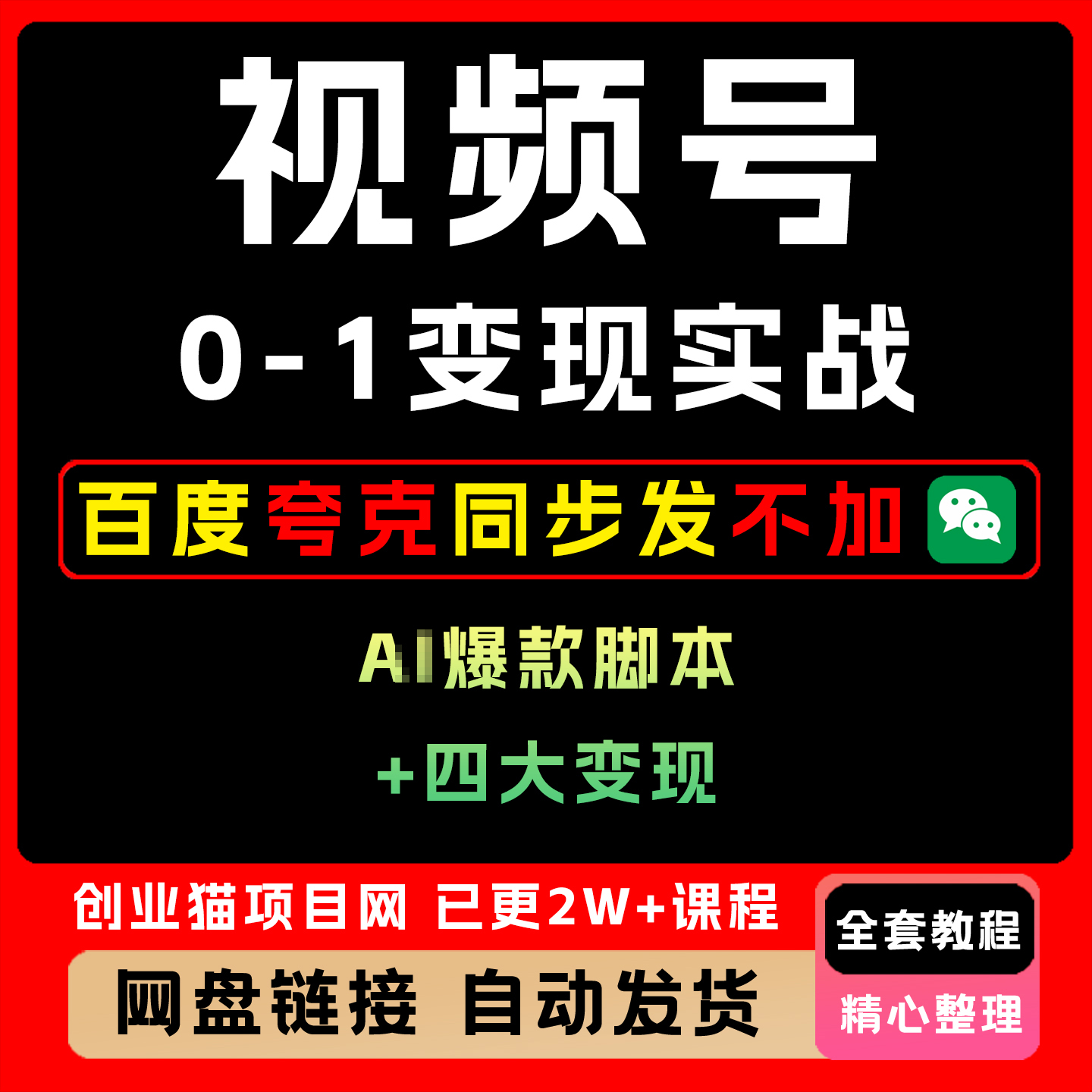 视频号0-1变现实战课：爆款脚本+四大变现普通人30天月入5000+