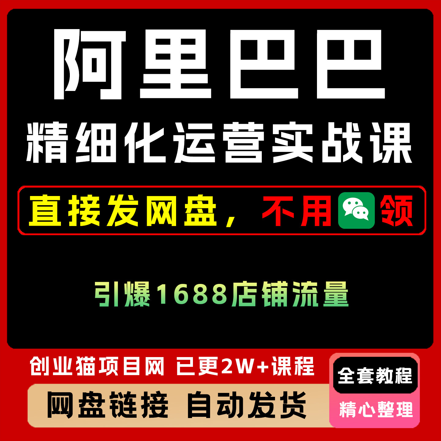 2025阿里巴巴精细化运营实战课全套视频精讲资料课件教学课程项目