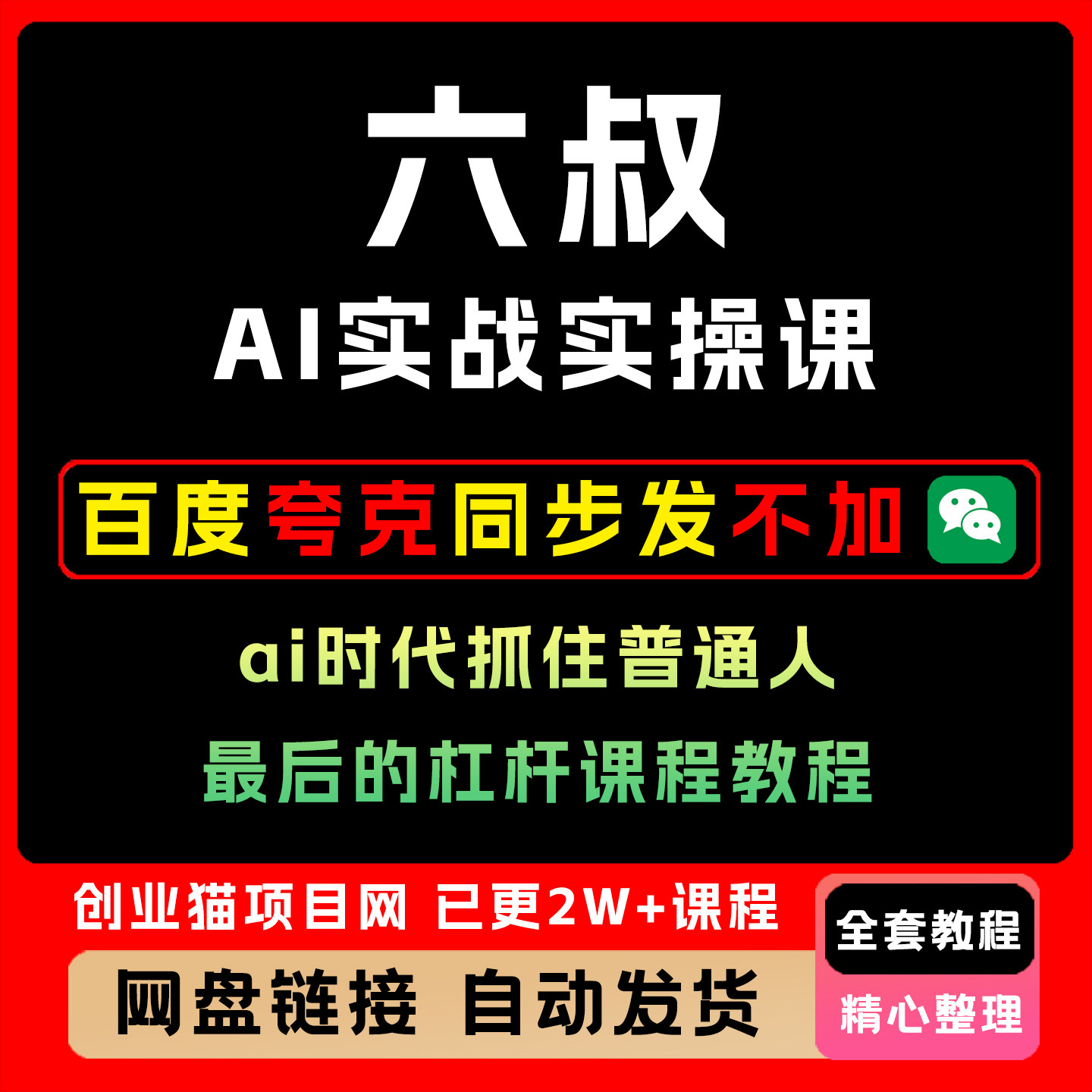 六叔的AI实战实操课ai时代抓住普通人最后的杠杆课程教程