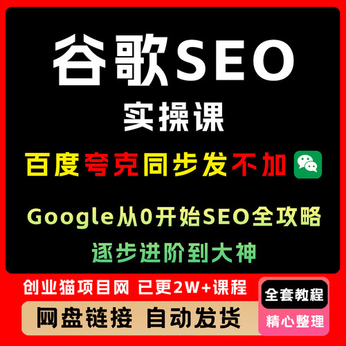 谷歌SEO实操课，Google从0开始SEO全攻略，逐步进阶技术到大神