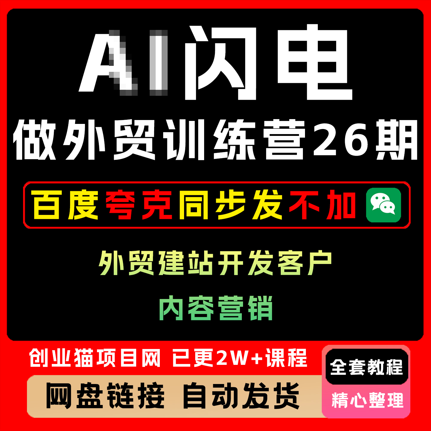2025闪电做外贸训练营26期外贸建站开发客户内容营销视频教学课