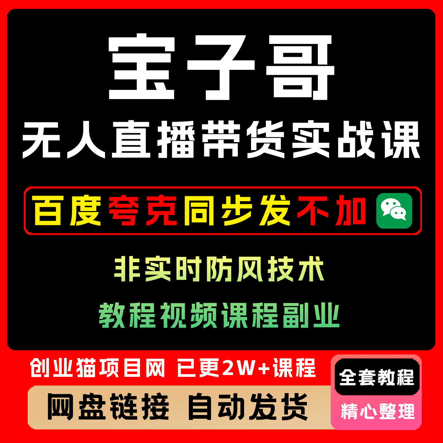宝子哥无人直播带货实战课非实时防风技术教程视频课程副业