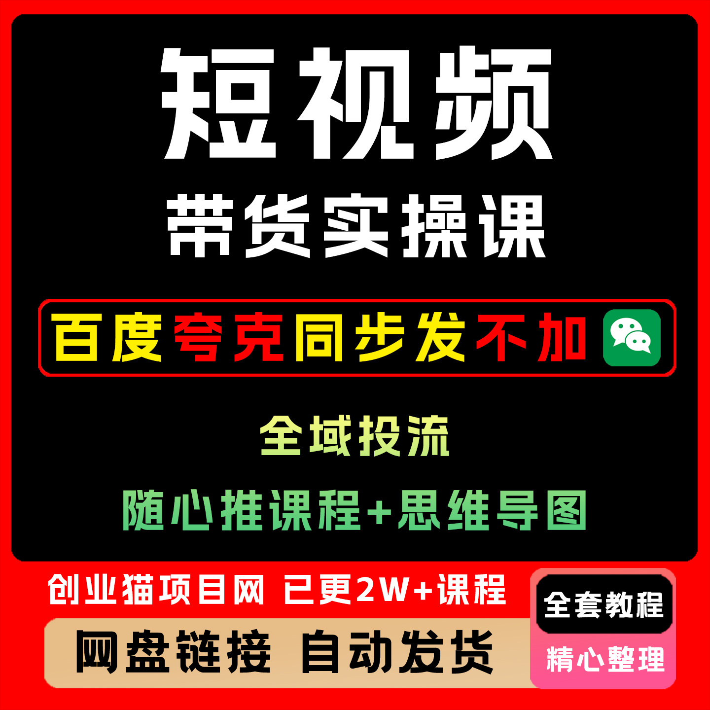 2025短视频带货课全域投流随心推全套课程教程变现黑科技副业项目