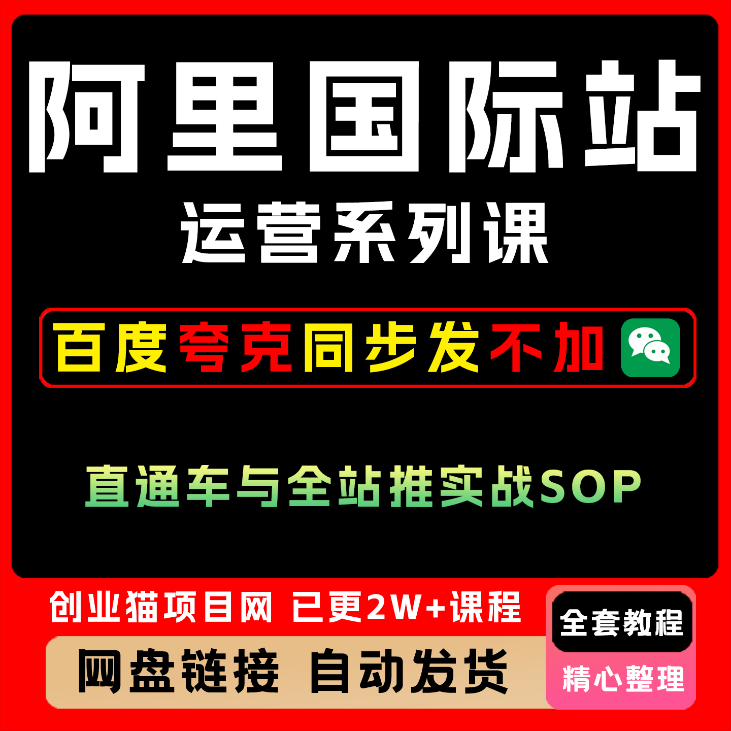 阿里国际站运营系列课直通车全站推实战SOP视频精讲教学课程
