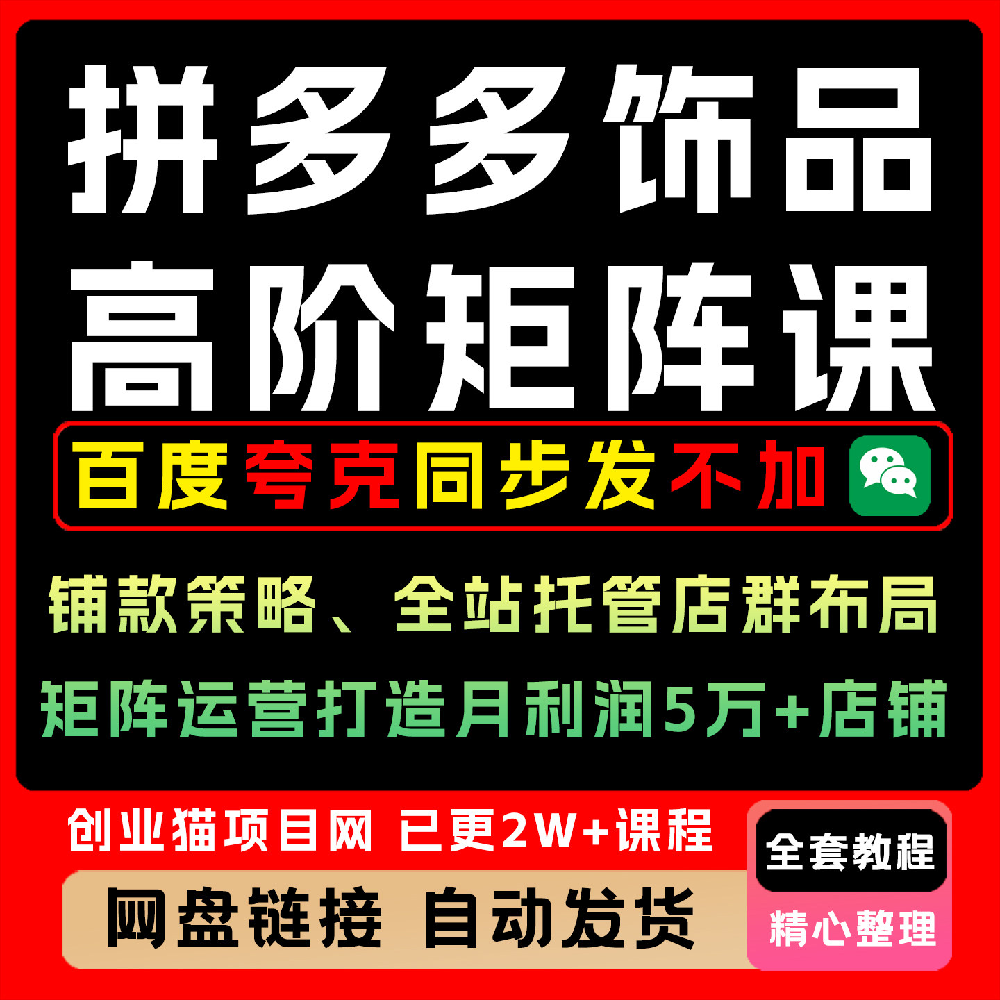 拼多多全店托管矩阵课，高效运营与盈利动销技巧，提升店铺效益