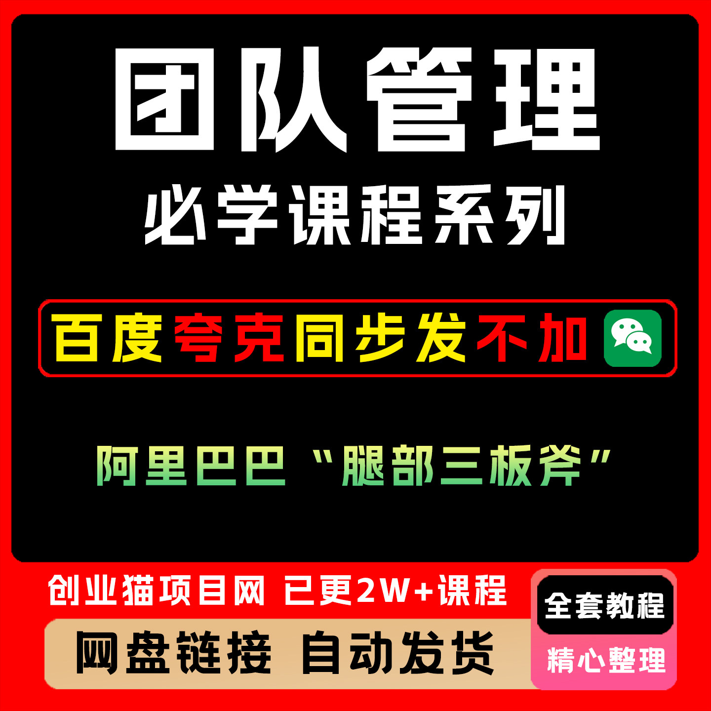 团队管理必学课程系列阿里巴巴腿部三板斧教程视频课程项目
