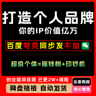 你的IP价值亿万超级个体打造个人视频精讲学习教学课程