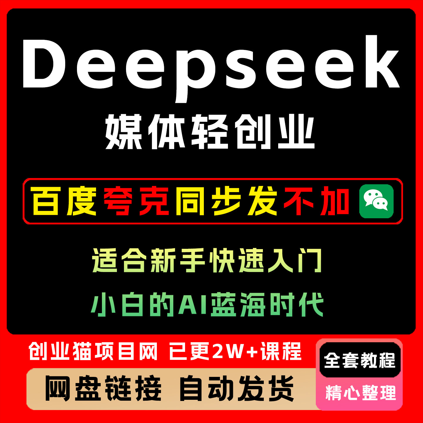 2025用DeepSeek做自媒体创业新手快速入门与进阶小白的A1蓝海时代
