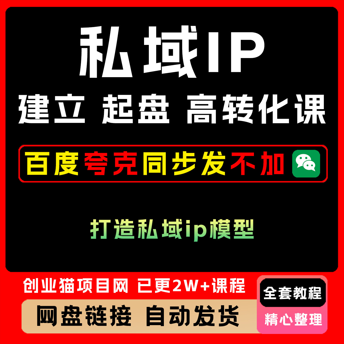 2025年私域IP建立起盘高转化模型教程变现视频课程