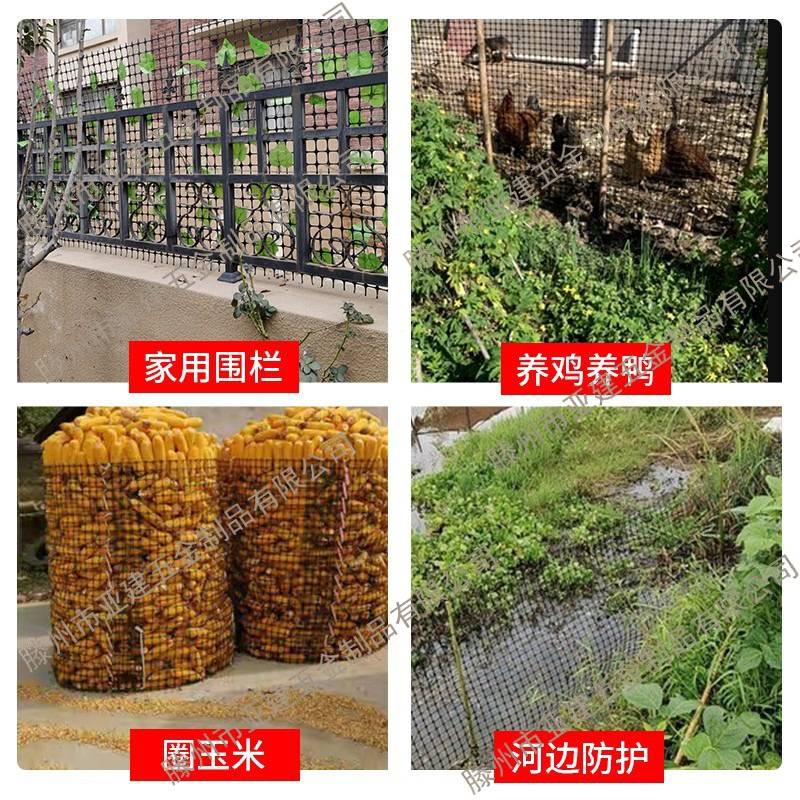 塑料网格防护网圈玉米网小孔养鸡鸭围栏护栏网隔离养殖网土工格栅