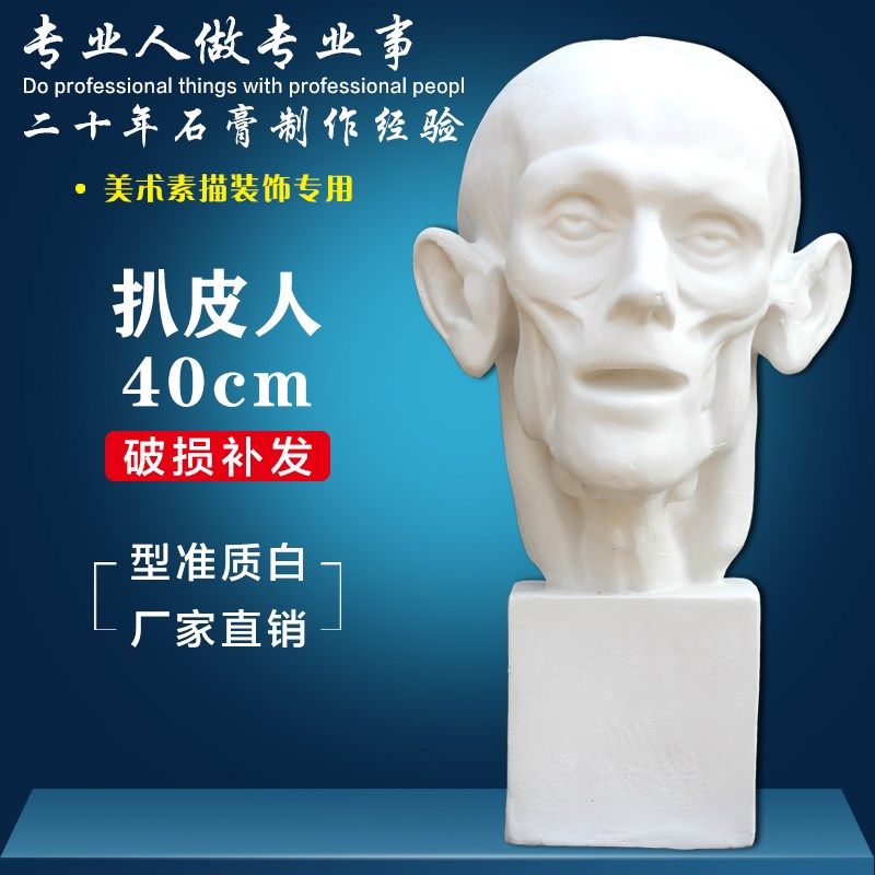 美术用品写生教具石像头像解剖扒皮外星素描装静物艺考