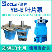 100 E25 E10液压6.3油泵12叶片泵16 YBE40