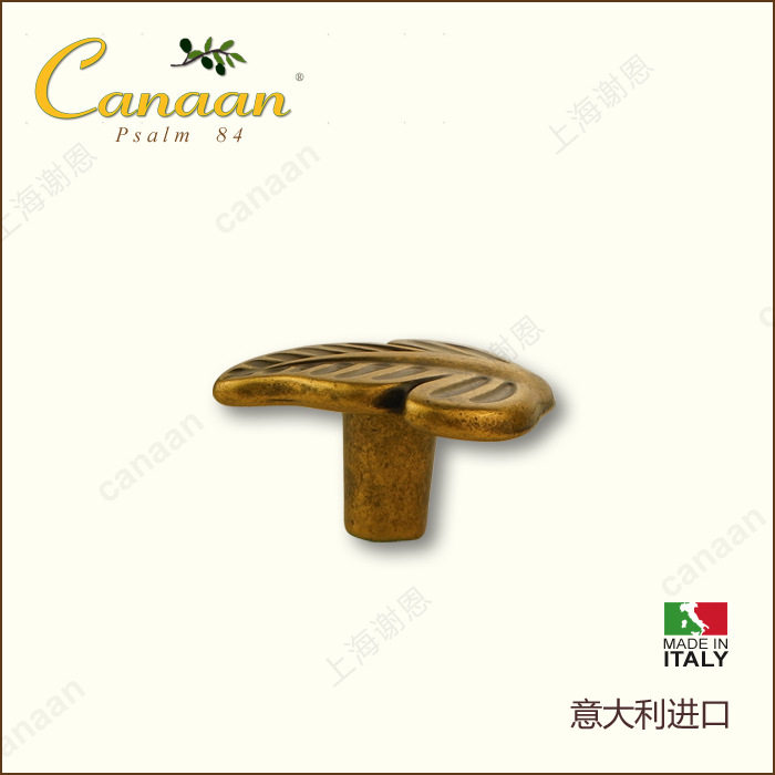 Canaan迦南原装意大利进口?