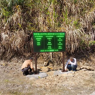 旅游酒店周边负氧离子含量监测系统 湿地公园生态环境监测气象站