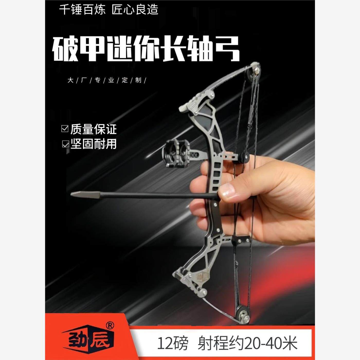 大威力复合弓套装射箭小型迷你弓箭室内休闲解压滑轮弓不锈钢射击