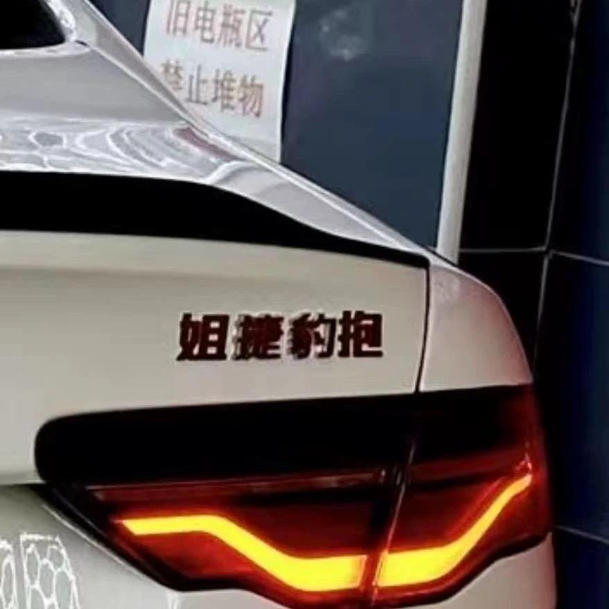 适用于奇瑞捷豹不锈钢材质定制车尾标姐捷豹抱个性网红创意车标贴