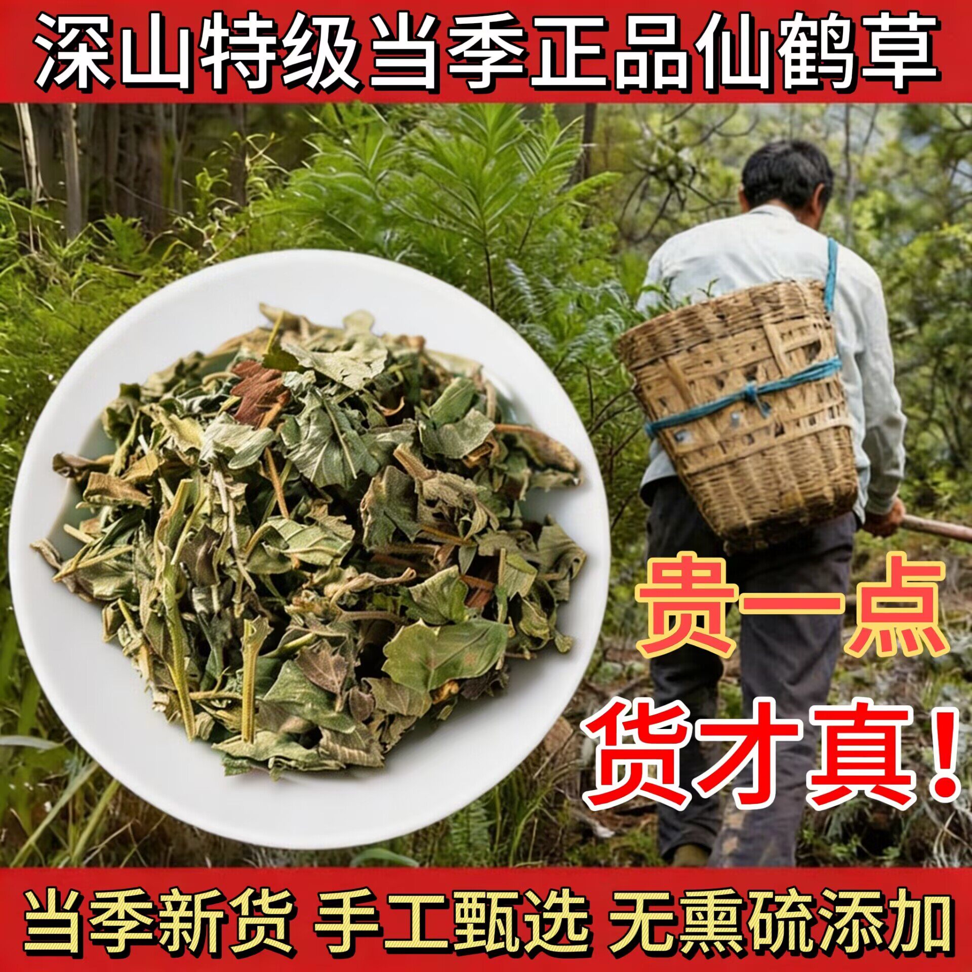 野生仙鹤草500g克仙鹤草茶新货中药材正品龙芽草脱力草狼牙草包邮