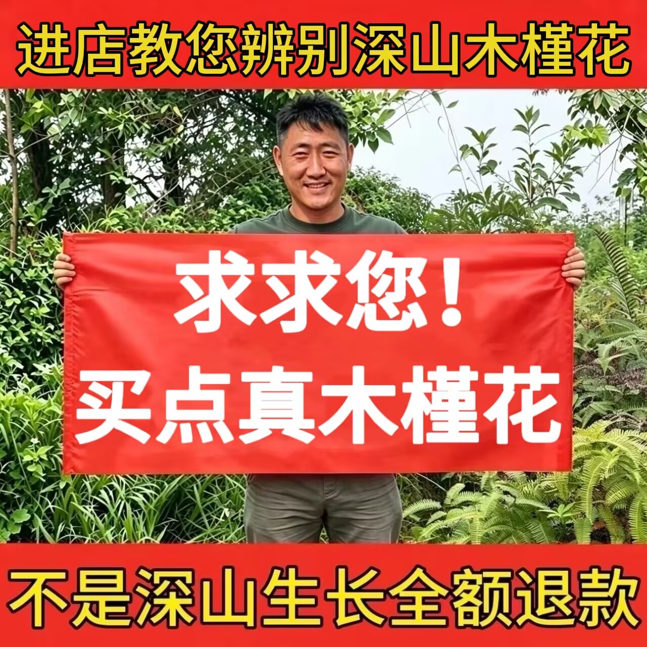 正宗野木槿花中药材100g新货正品生白木槿花茶干花泡茶泡水白玉花