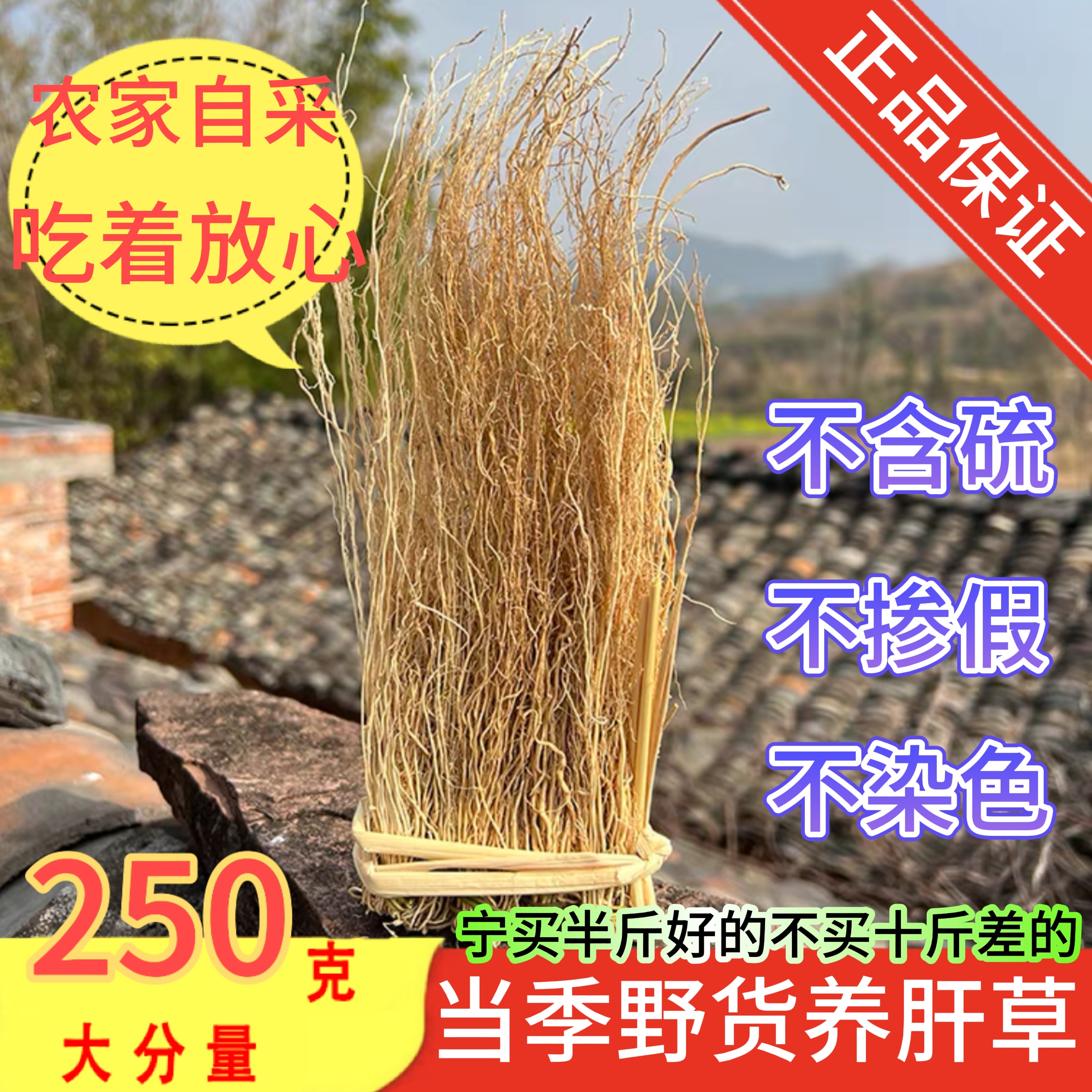 广东养肝草丝线根煮煲汤熬夜降火