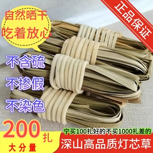 深山灯芯草儿童煲炖汤泡水喝中药茶灯心草汤虎须草龙须草煲汤材料